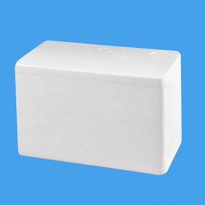 YM-5号米兰MiLan（中国）